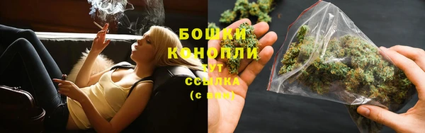 первитин Богданович