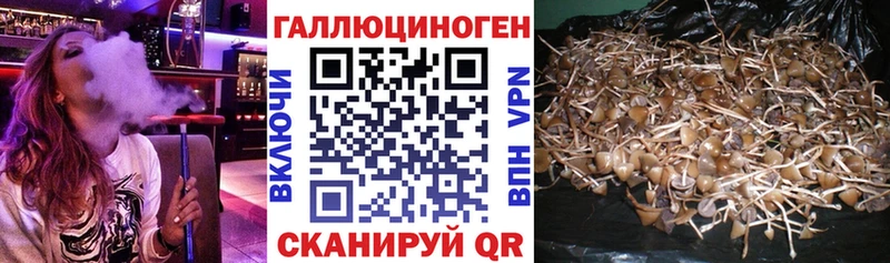 Псилоцибиновые грибы Magic Shrooms  Окуловка 